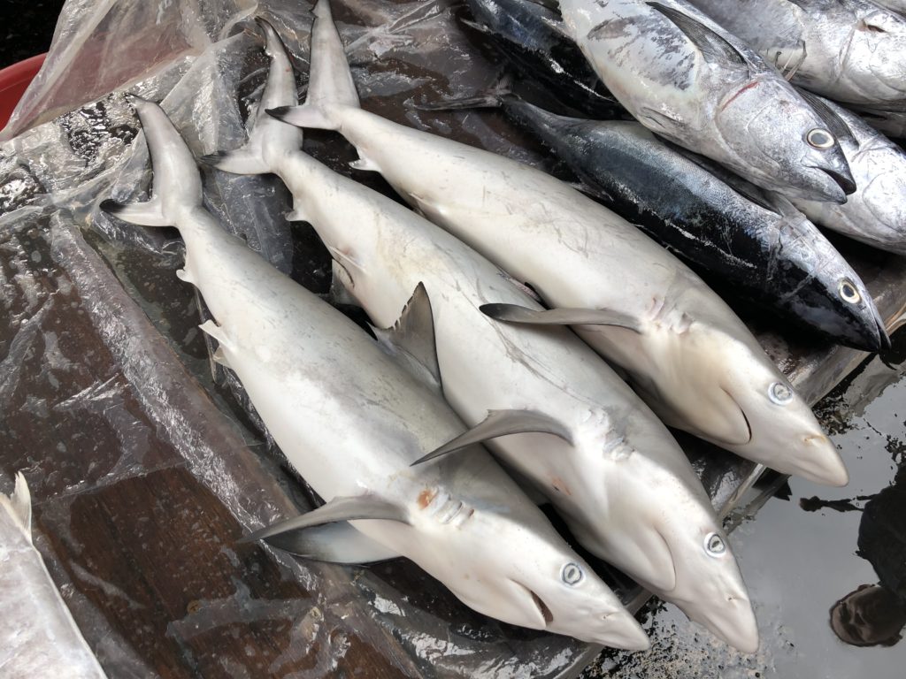 ビントゥアンラジ市場のサメ