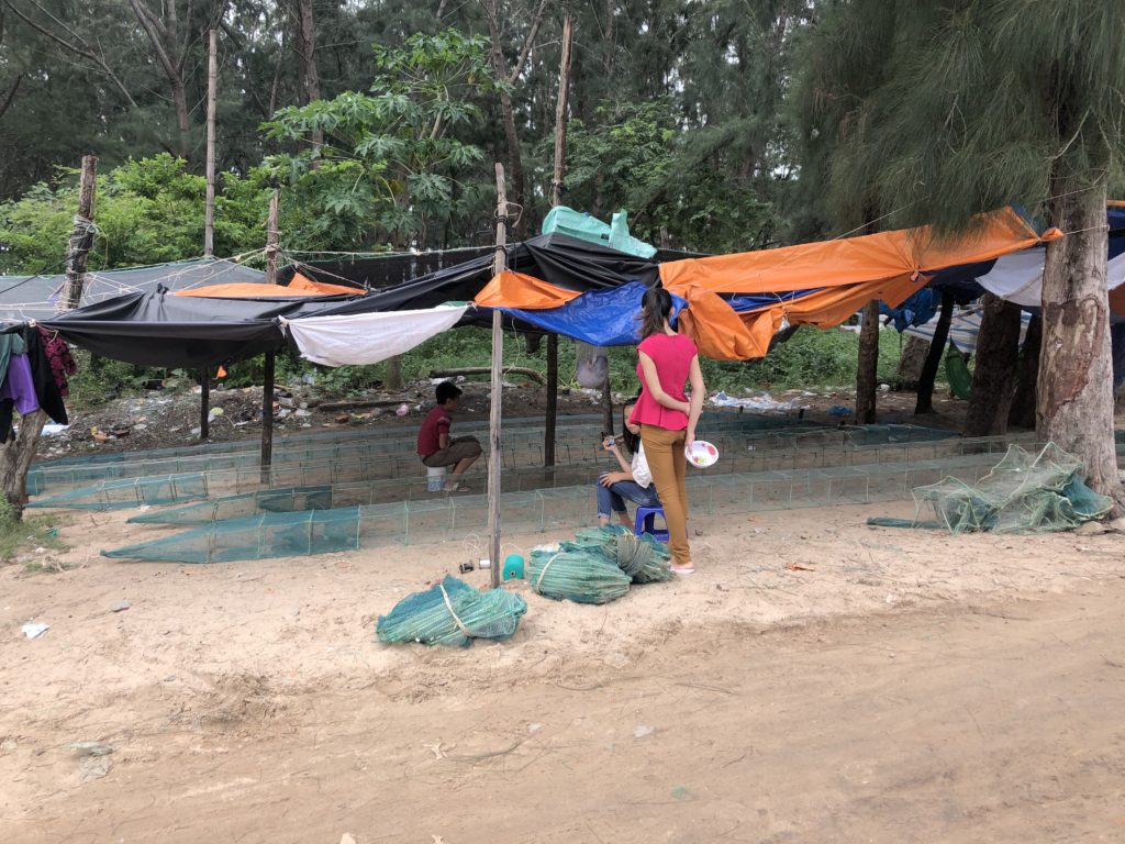 Fishing traps in La Gi, Binh Thuan