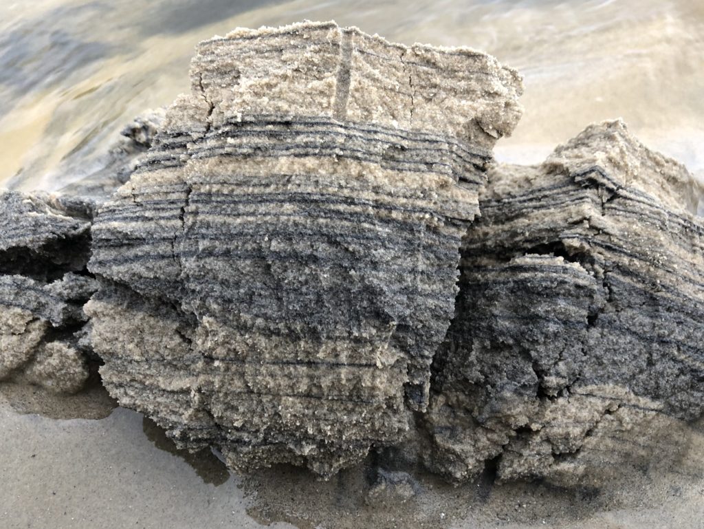 周辺環境で作られた海岸の砂が作る地層
