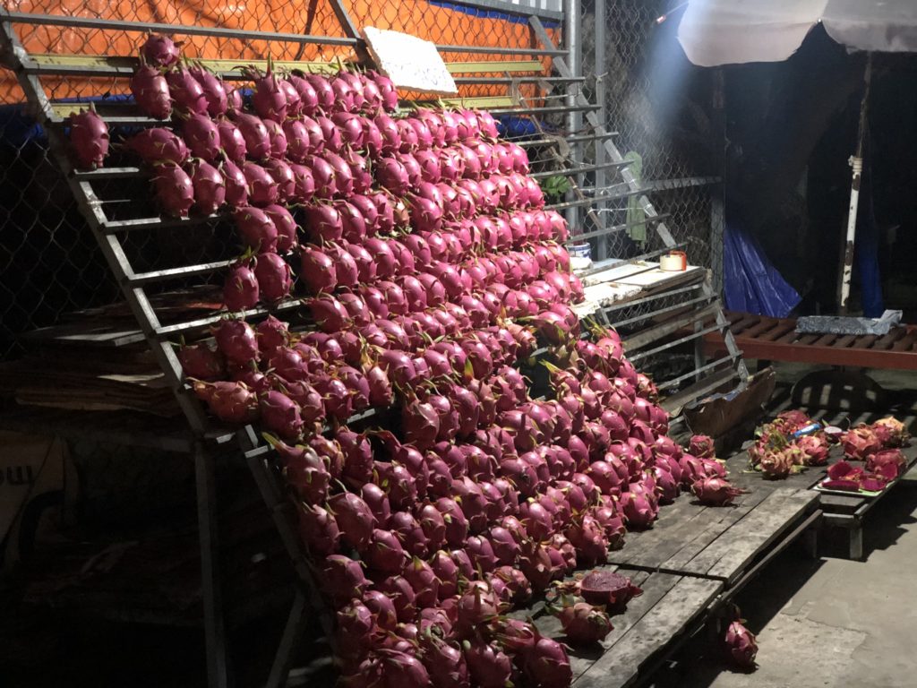 Dragon fruit vendors on display late into the night