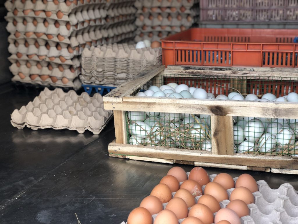 Freshly laid eggs on the back of an egg store truck