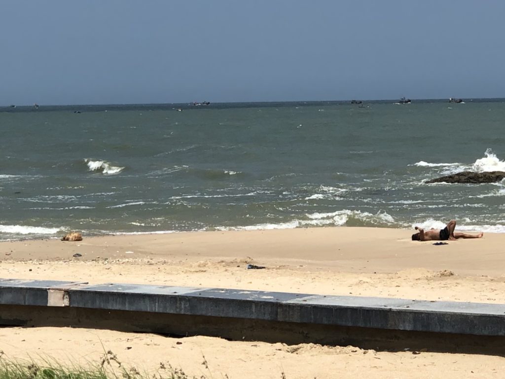 ファンティエット街のビーチで日焼けを楽しむベトナム人と犬