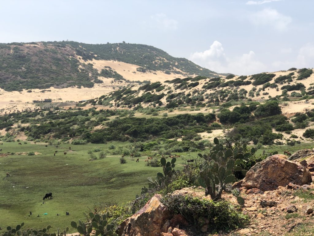 Spectacular views of the dunes and forests of Mui Ne
