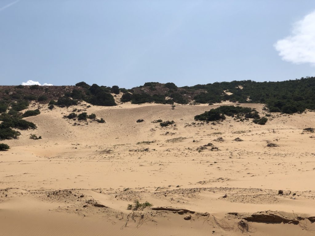 広大なムイネー砂漠