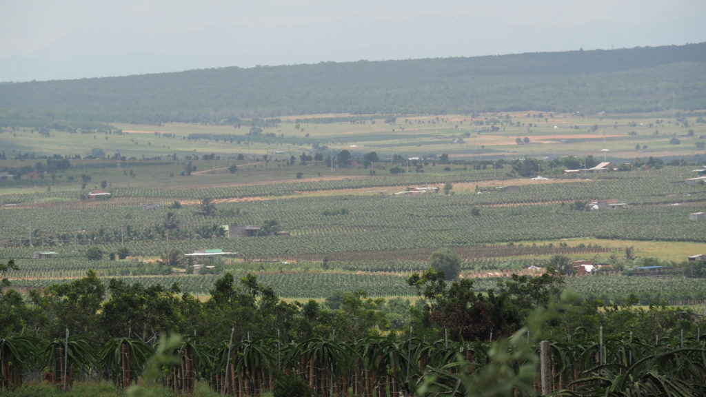 Overlooking vast agricultural fields
