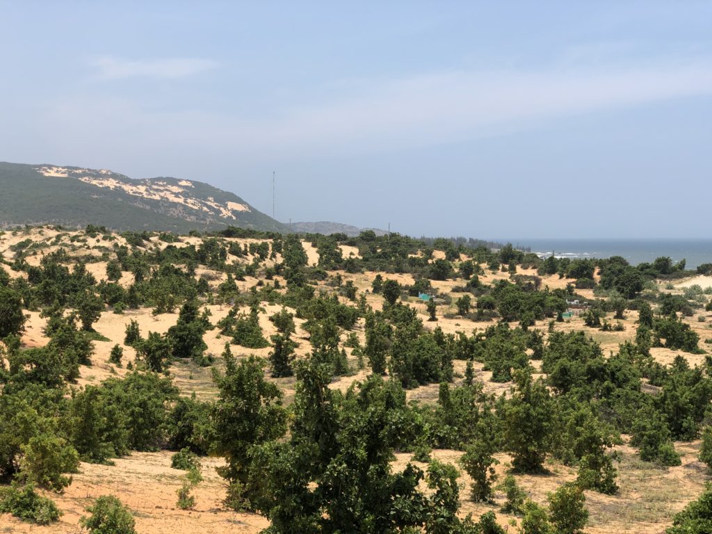 Spectacular views of the dunes and forests of Mui Ne