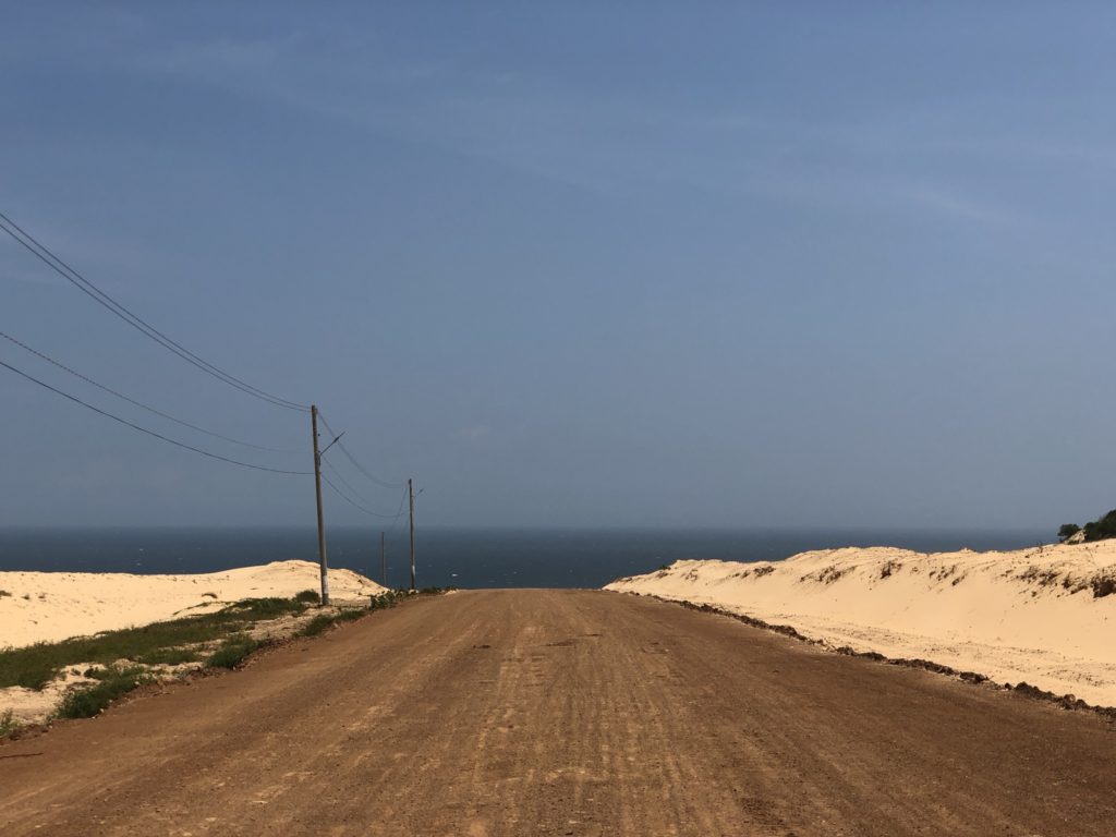 The building of new roads in the dunes