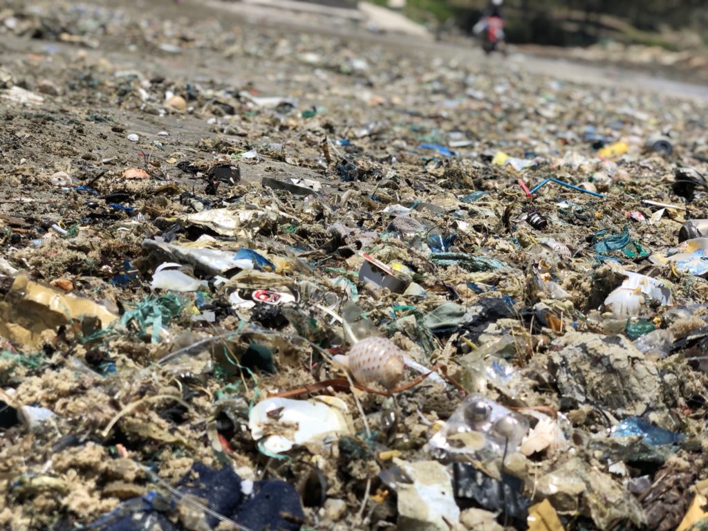 Coastal litter