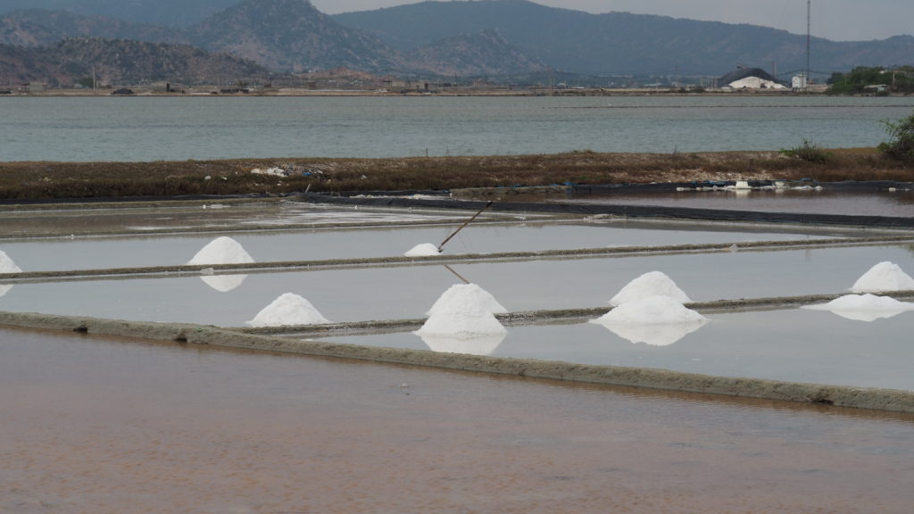 Salt production site