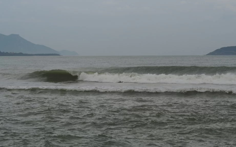 台風ホンチョン海岸